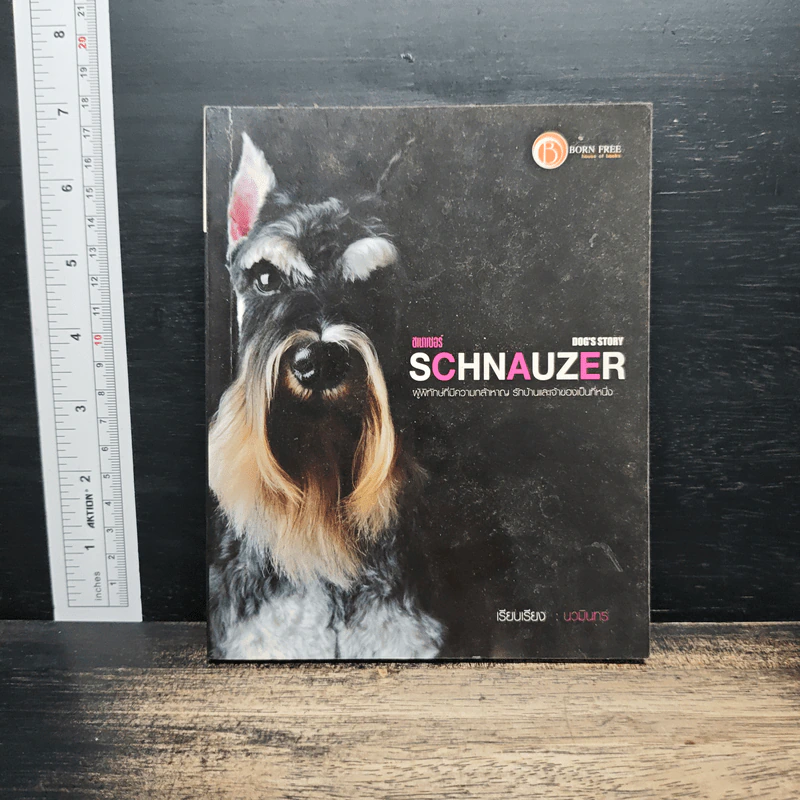 Schnauzer ผู้พิทักษ์ที่มีความกล้าหาญ รักบ้านและจ้าของเป็นที่หนึ่ง - นวมินทร์ รูปที่ 1