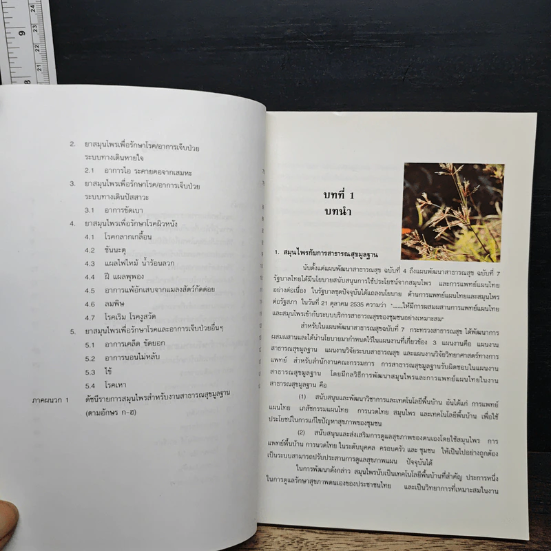 ยาสมุนไพร สำหรับงานสาธารณสุขมูลฐาน รูปที่ 8