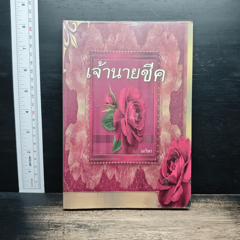 เจ้านายซีค - เมวิษา รูปที่ 1