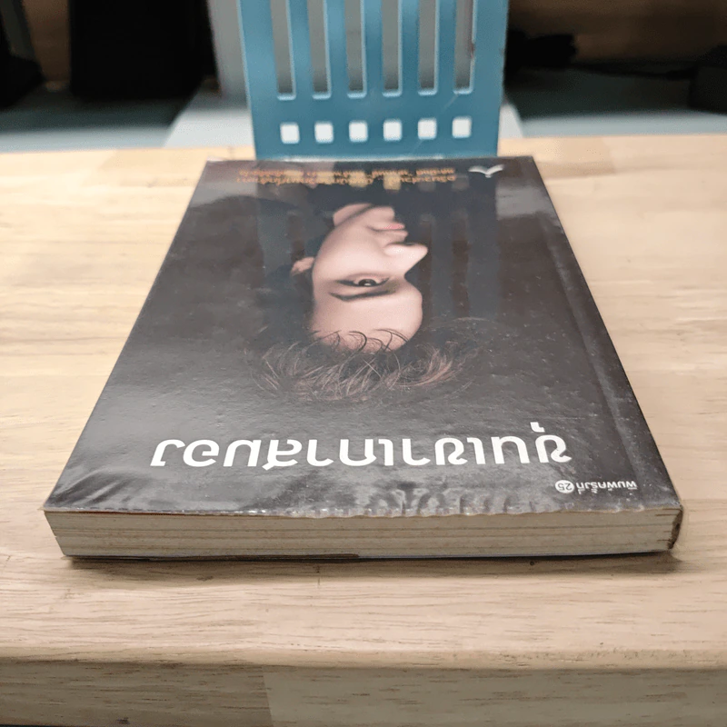 ขุนเขาเกาสมอง - ขุนเขา สินธุเสน รูปที่ 4