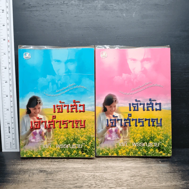 เจ้าสัวเจ้าสำราญ 2 เล่มจบ - โสภี พรรณราย รูปที่ 1