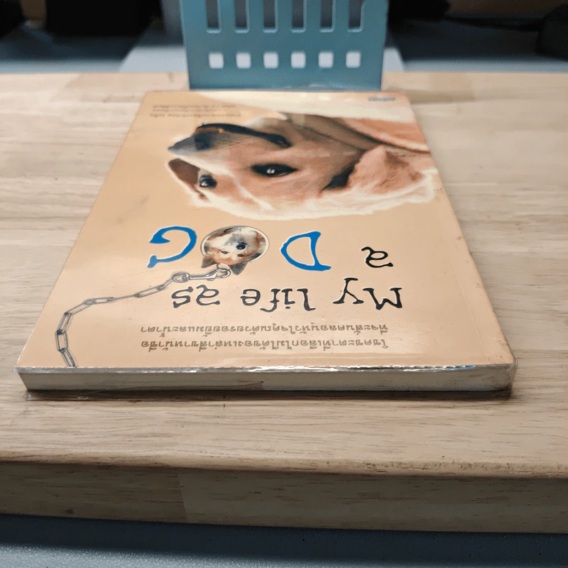 My Life as a Dog - ระริน รูปที่ 4