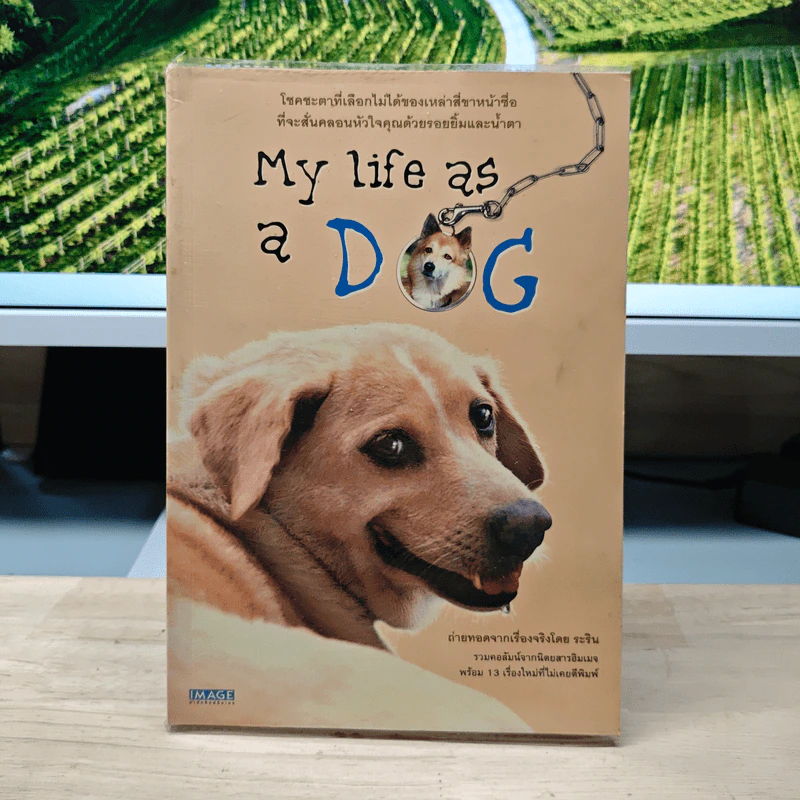 My Life as a Dog - ระริน รูปที่ 1
