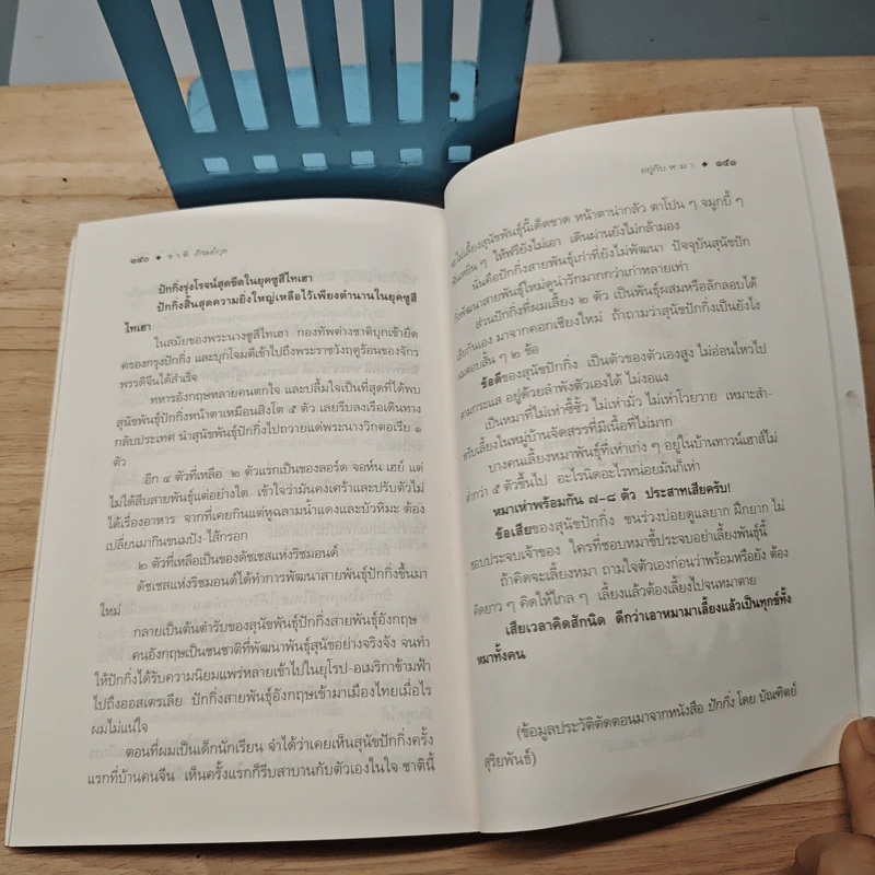 อยู่กับหมา - ชาติ ภิรมย์กุล รูปที่ 9