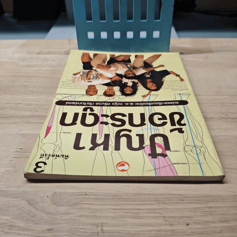 ปัญหาข้อกระดูก - พ.อ.หญิง ศรีนวล เจียจันทร์พงษ์ รูปที่ 4