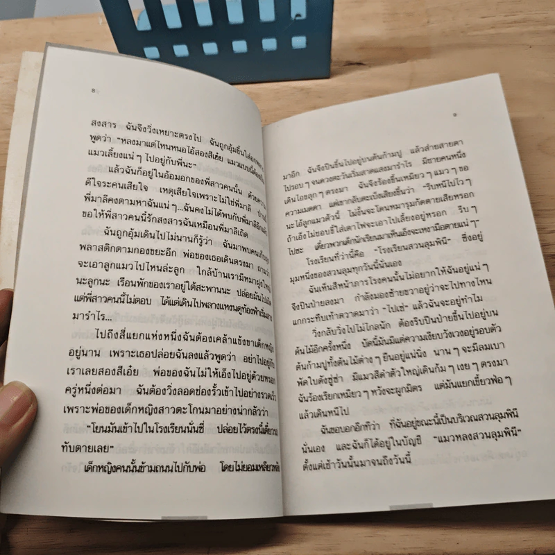 ฃแมวหลง - คำพูน บุญทวี รูปที่ 7