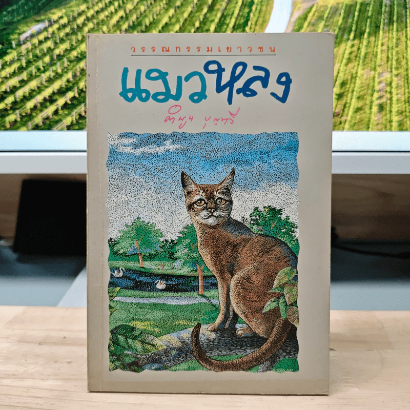 ฃแมวหลง - คำพูน บุญทวี รูปที่ 1