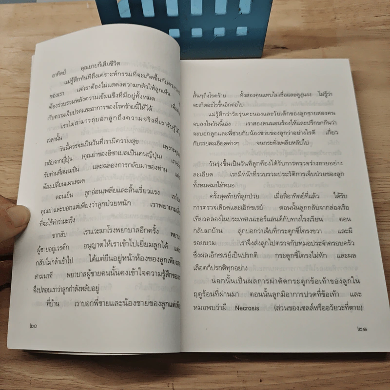 เราจะพบกันอีกที่สวรรค์ของฉัน - แก้ว พิกุล รูปที่ 8