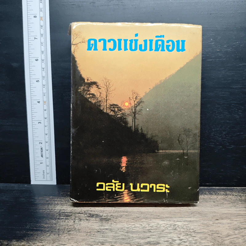 ดาวแข่งเดือน - วลัย นวาระ รูปที่ 1