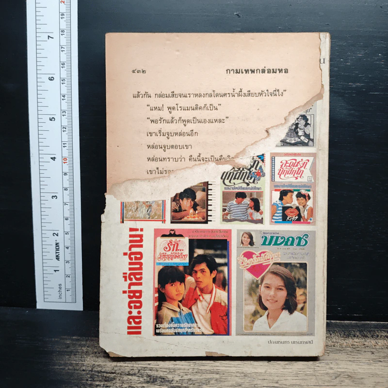 นิยายโรมานซ์ กามเทพกล่อมหอ - จามรี พรรณชมพู รูปที่ 2
