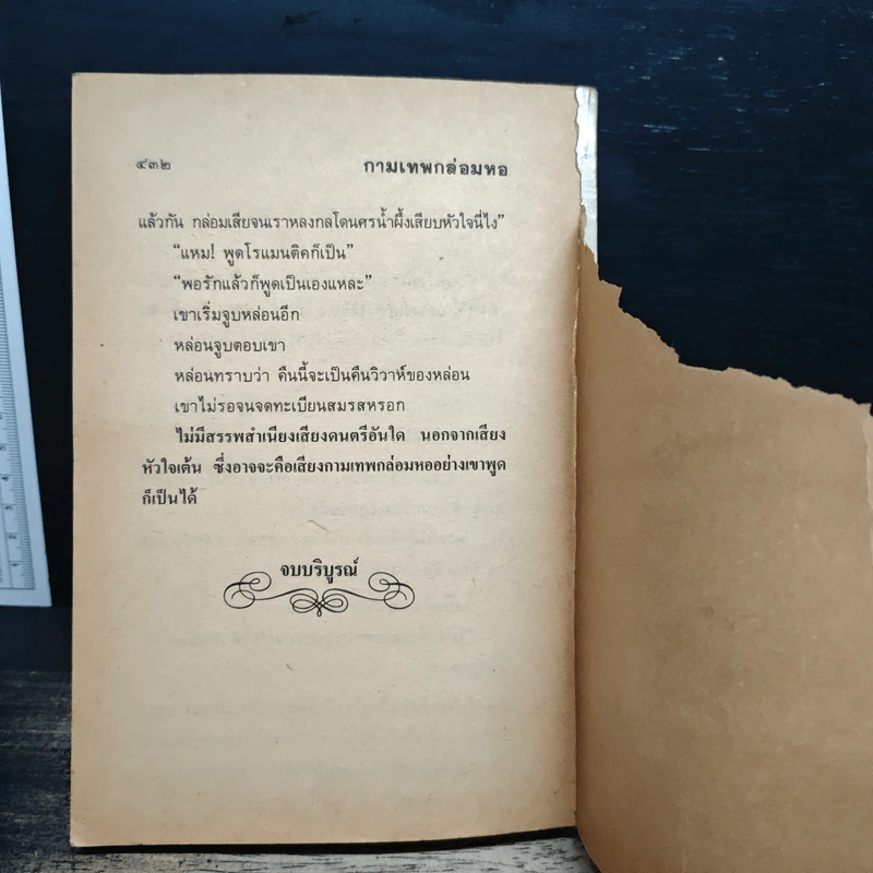 นิยายโรมานซ์ กามเทพกล่อมหอ - จามรี พรรณชมพู รูปที่ 8