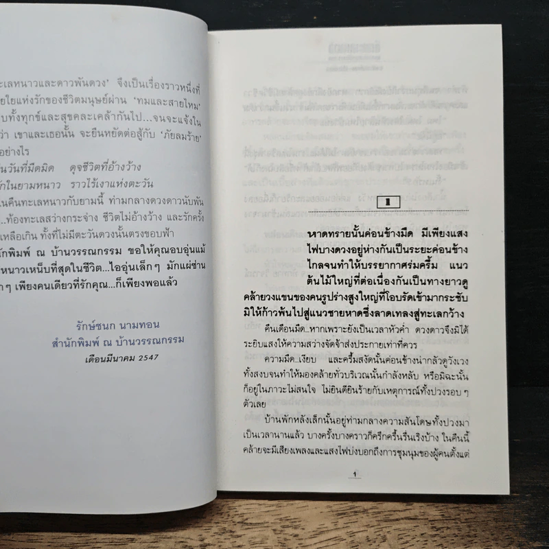 คืนทะเลหนาวและดาวพันดวง - ช่อลดา รูปที่ 7