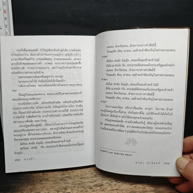 นางถ้ำ - มาลา คำจันทร์ รูปที่ 9