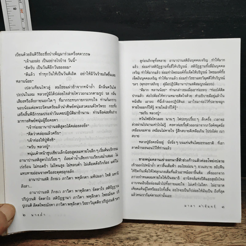 นางถ้ำ - มาลา คำจันทร์ รูปที่ 8