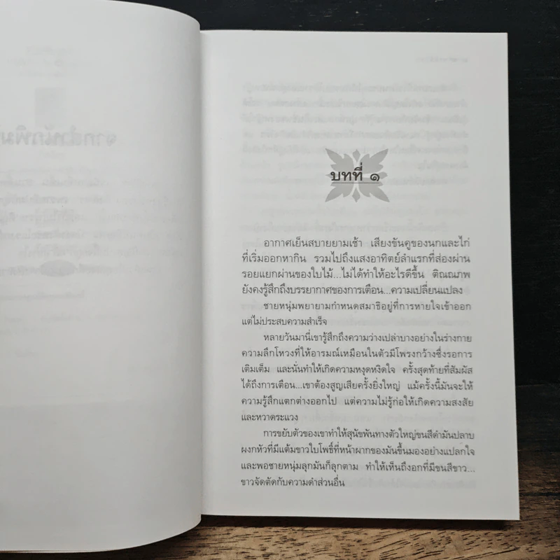 ลางลิขิต - กิ่งฉัตร รูปที่ 7