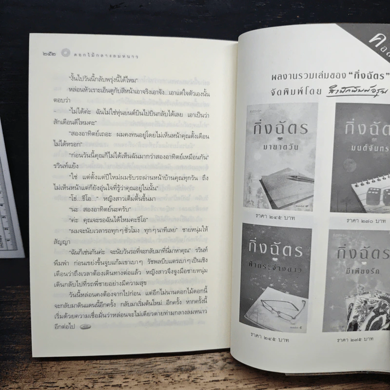 หิมะกลางทะเลทราย - กิ่งฉัตร รูปที่ 9