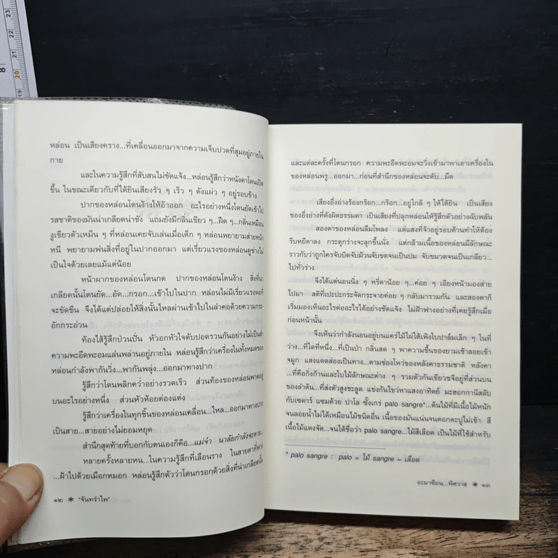 อะมาซ็อน...พิศวาส - จันทรำไพ รูปที่ 8