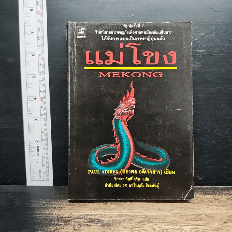 แม่โขง Mekong - ปองพล อดิเรกสาร รูปที่ 1
