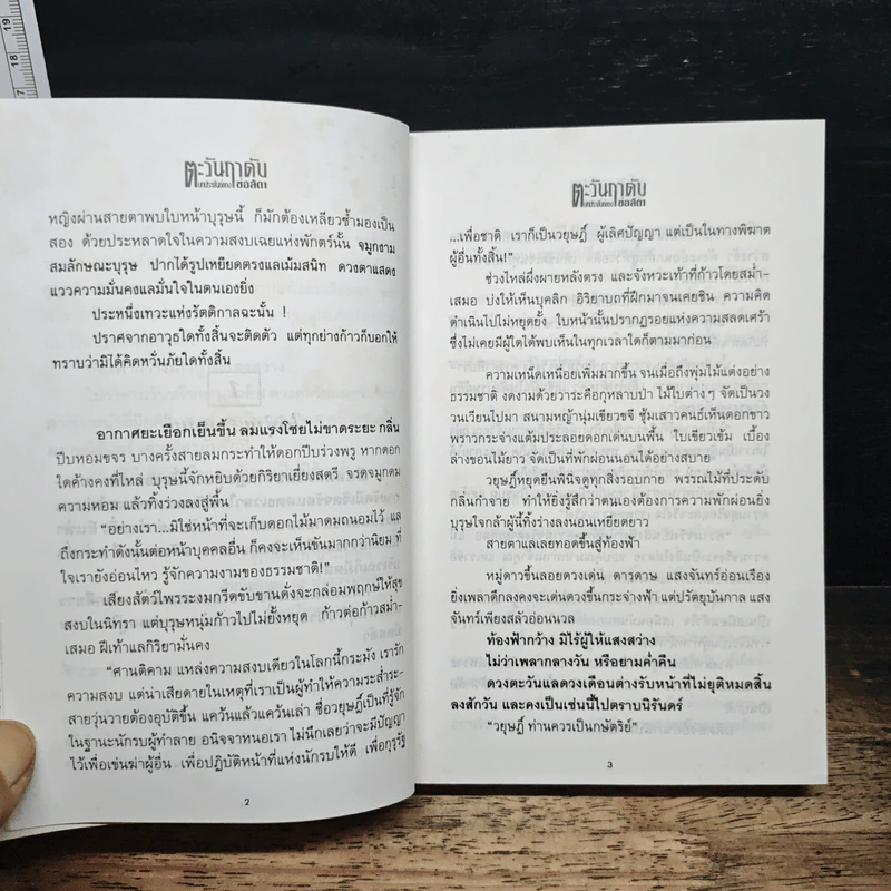ตะวันฤาดับ - ช่อลัดา รูปที่ 8