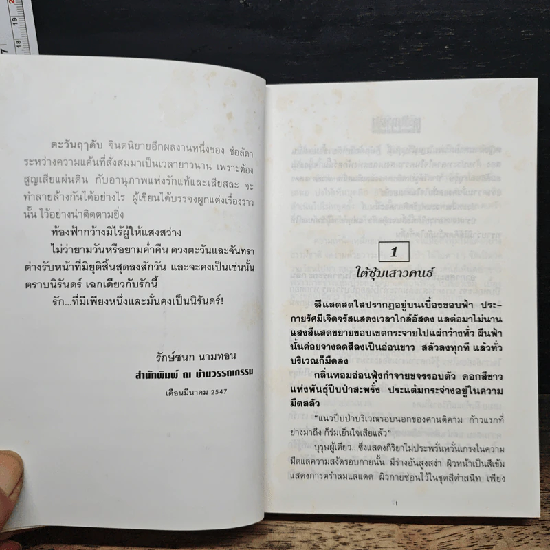 ตะวันฤาดับ - ช่อลัดา รูปที่ 7