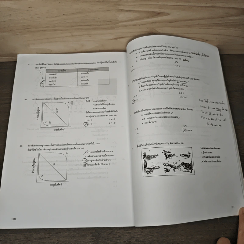 Basic Biology (OPD) Human Body Part II - นพ.พิชญ์ สันติจิตรุ่งเรือง รูปที่ 9