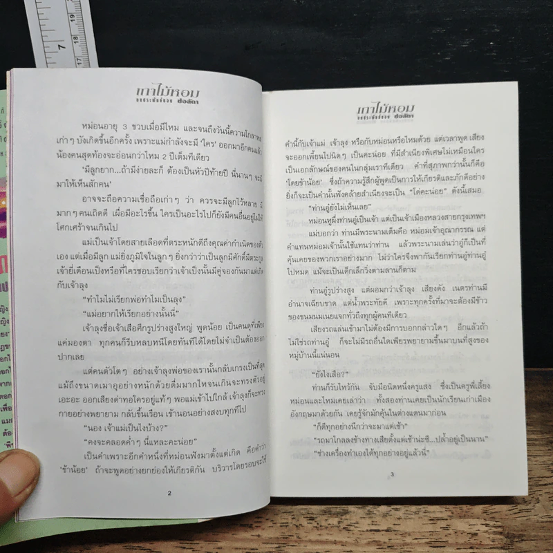 เถาไม้หอม - ช่อลัดา รูปที่ 8
