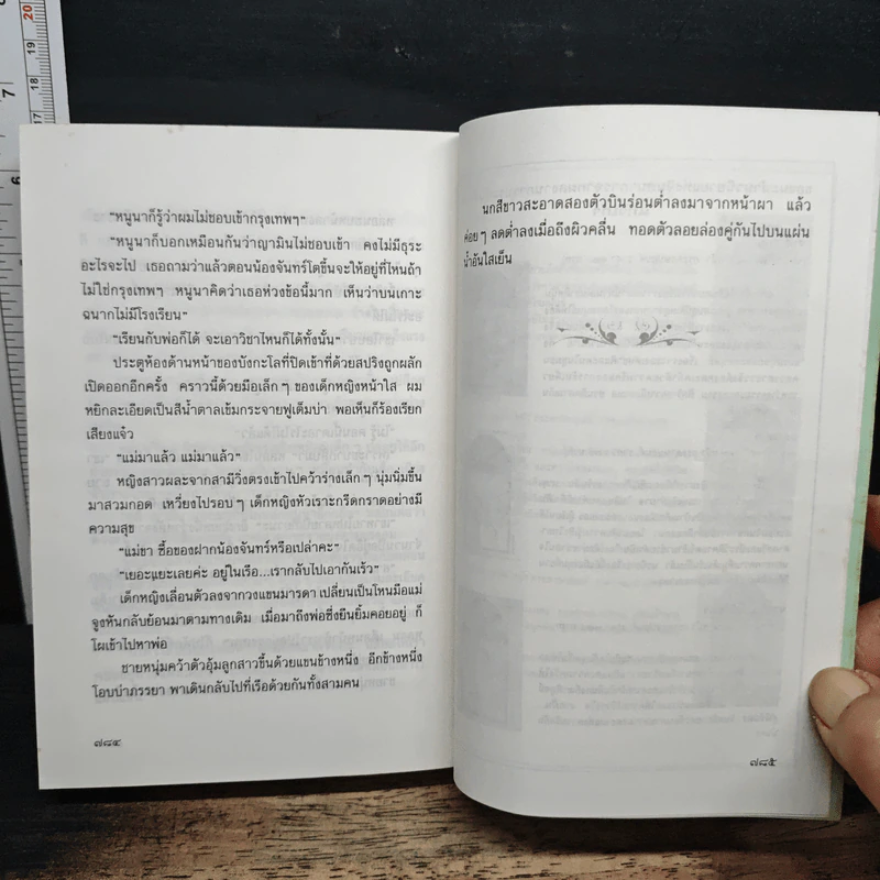 อมตะ - แก้วเก้า รูปที่ 8