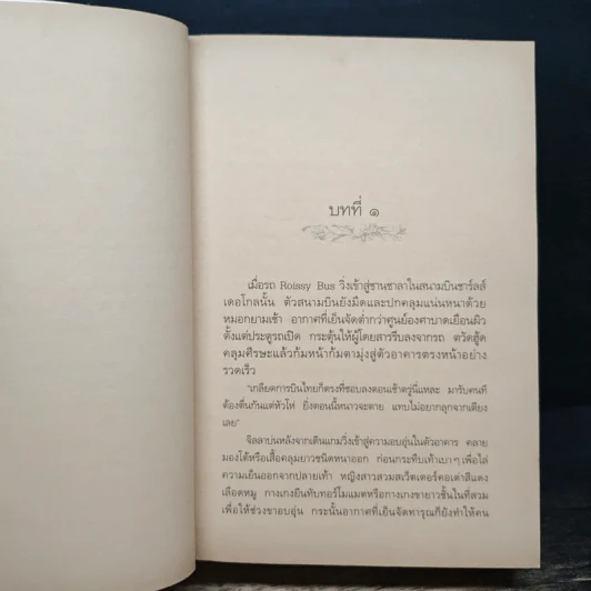 ลำเนาลม - กิ่งฉัตร รูปที่ 7