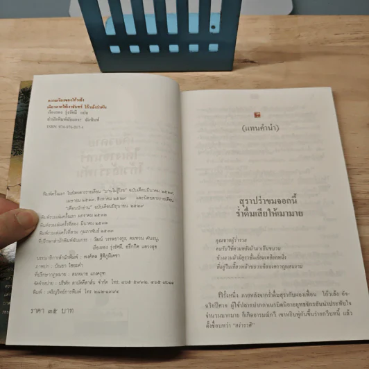 เดียวดายใต้เงาจันทร์ - โก้วเล้งรำพัน, เรืองรอง รุ่งรัศมี รูปที่ 6