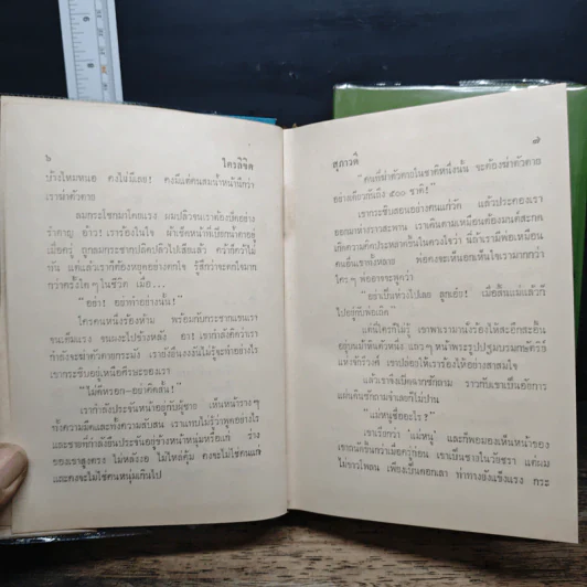 ใครลิขิต 2 เล่มจบ - สุภาวดี รูปที่ 8
