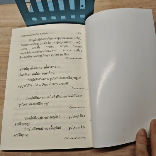 เมืองไทยจะมีวิกฤต ถ้าคนไทยมีศรัทธาวิปริต - พระธรรมปิฏก (ประยุทธ์ ปยุตโต) รูปที่ 8