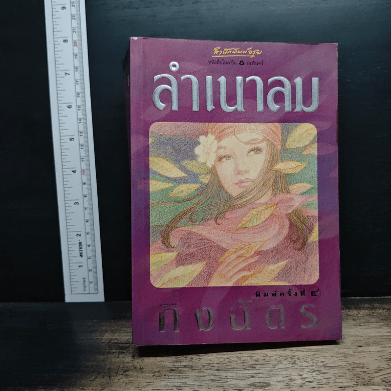 ลำเนาลม - กิ่งฉัตร รูปที่ 1
