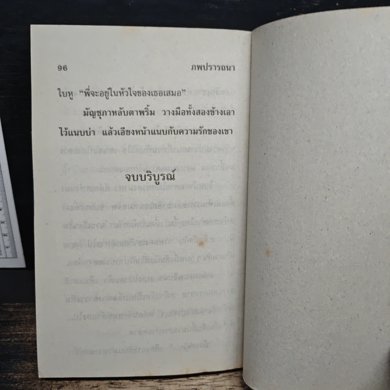 ไฟเสน่หา - นภาลัย ไผ่สีทอง รูปที่ 8