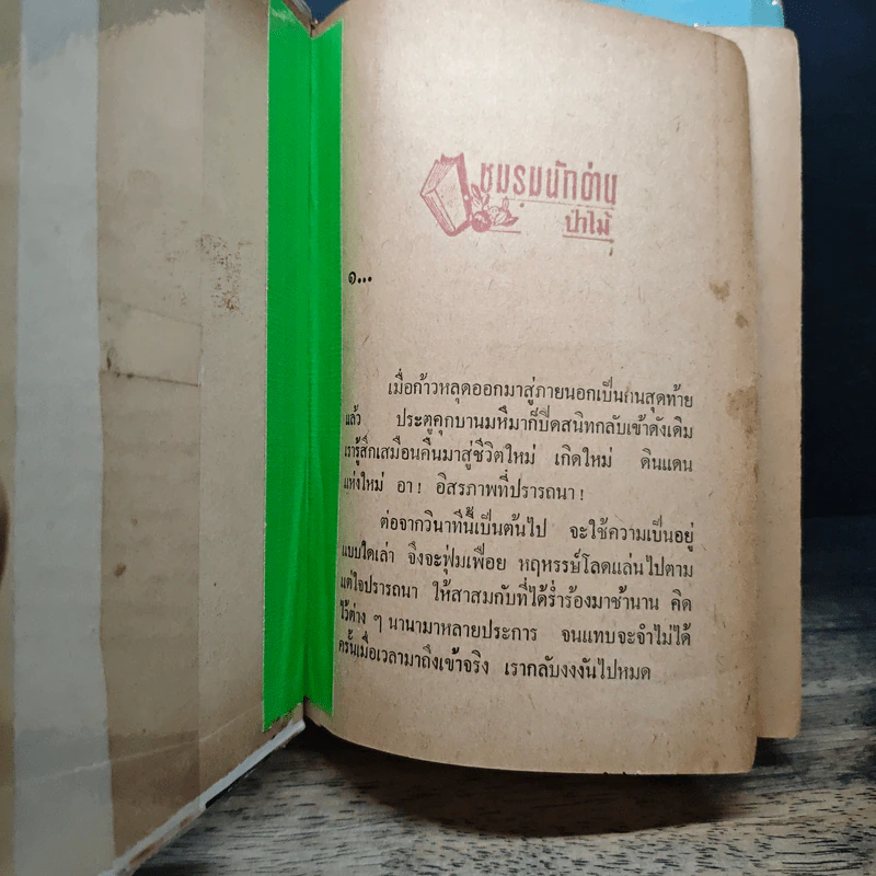 โดมไพร 2 เล่มจบ - ดวงดาว รูปที่ 6