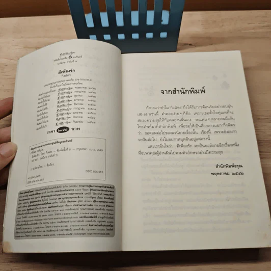 มีเพียงรัก - กิ่งฉัตร รูปที่ 7