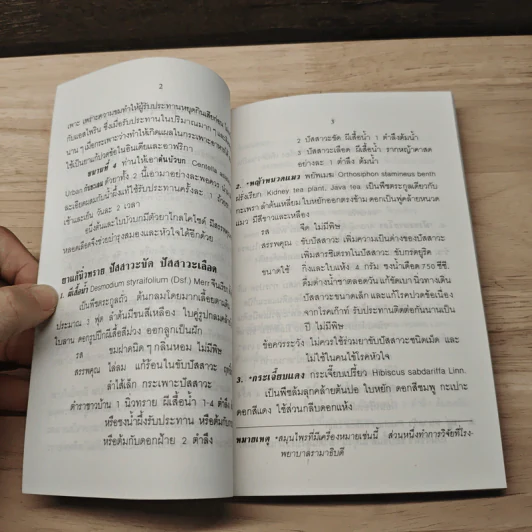 นานาสาระ เรื่องสมุนไพร - รศ.นพ. วีระสิงห์ เมืองมั่น รูปที่ 7