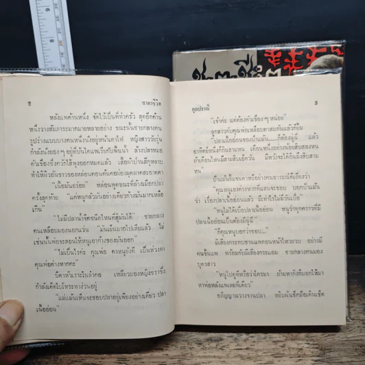 ชาตาชีวิต 2 เล่มจบ - กุลปราณี รูปที่ 8