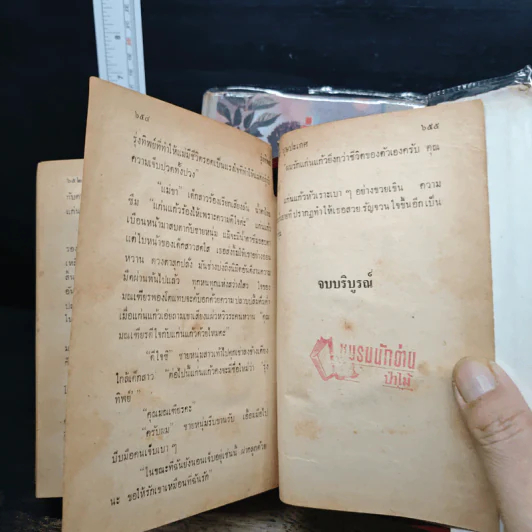 รุ่งทิพ 2 เล่มจบ รูปที่ 9