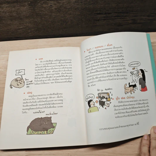 Cat Study วิชาแนะแมว - ทีปกร วุฒิพิทยามงคล รูปที่ 8