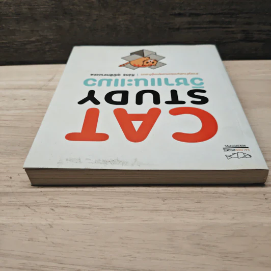Cat Study วิชาแนะแมว - ทีปกร วุฒิพิทยามงคล รูปที่ 4