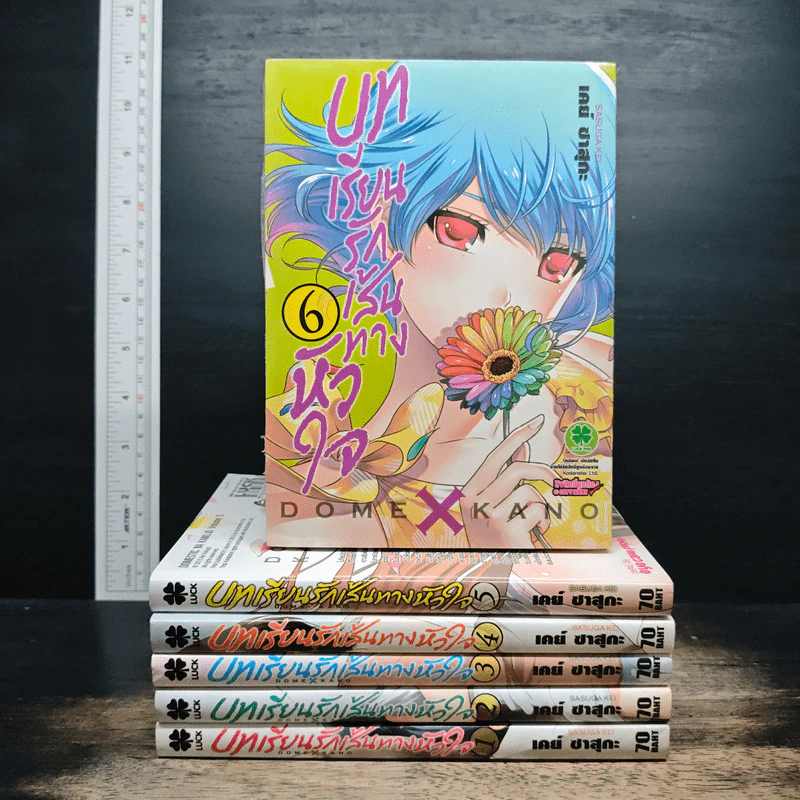 บทเรียนรักเส้นทางหัวใจ เล่ม 1-6 รูปที่ 1