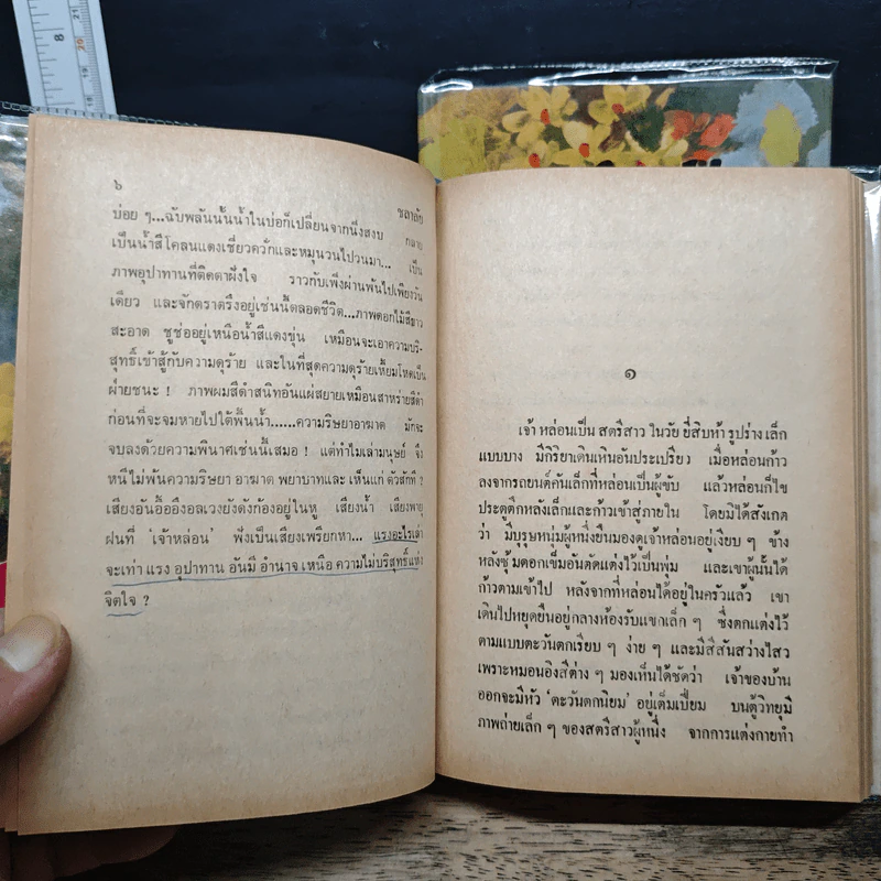 ชลาลัย 2 เล่มจบ - ศรีฟ้า ลดาวัลย์ รูปที่ 9