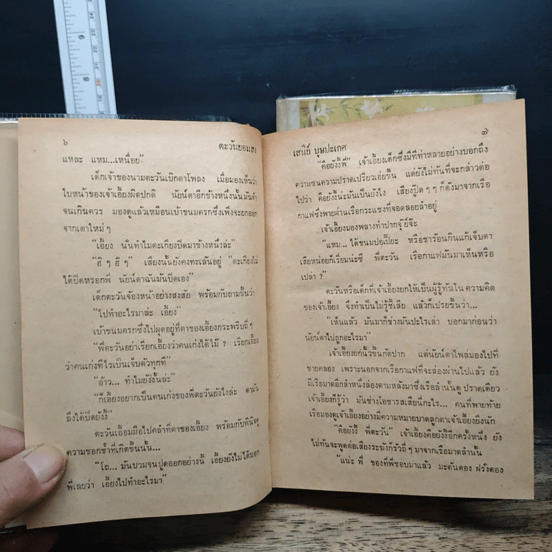 ตะวันยอแสง 2 เล่มจบ - เสนีย์ บุษปะเกศ รูปที่ 9