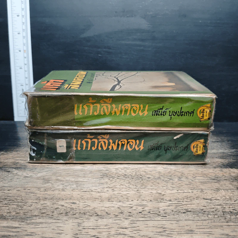 แก้วลืมคอน 2 เล่มจบ - เสนีย์ บุษปะเกศ รูปที่ 3