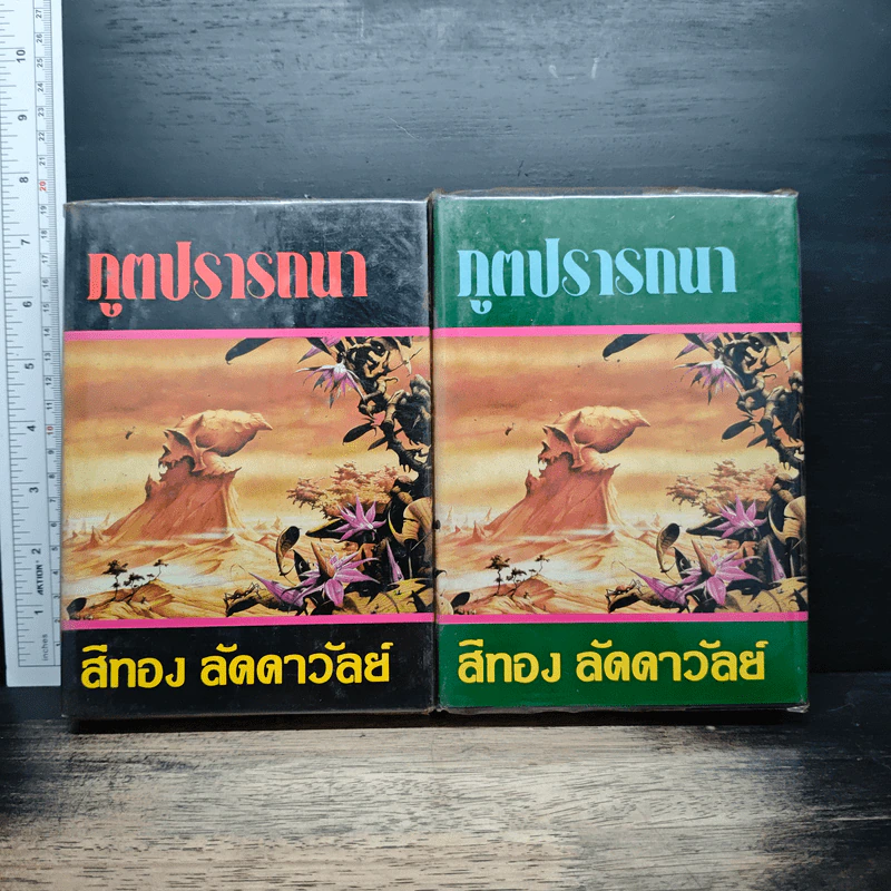 ภูตปรารถนา 2 เล่มจบ - ศรีทอง ลดาวัลย์ รูปที่ 1