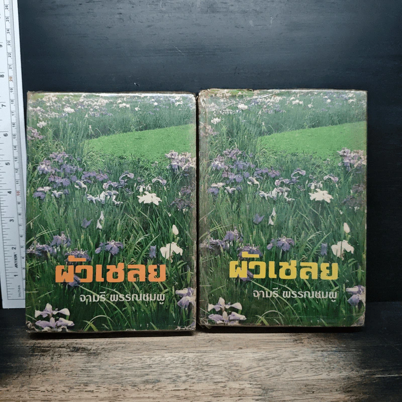 ผัวเชลย เล่ม 1-2 - จามรี พรรณชมพู รูปที่ 1