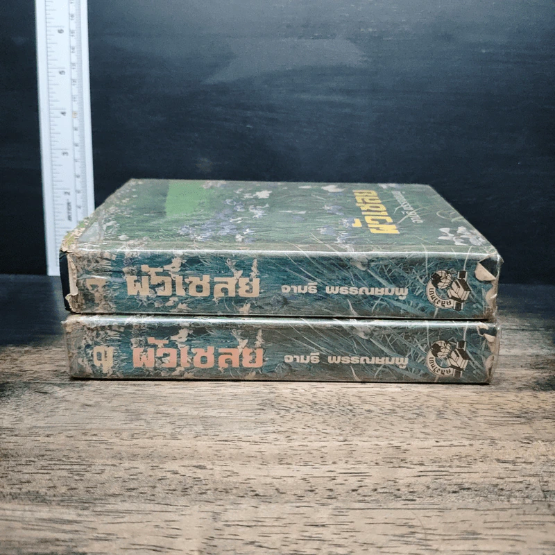 ผัวเชลย เล่ม 1-2 - จามรี พรรณชมพู รูปที่ 3