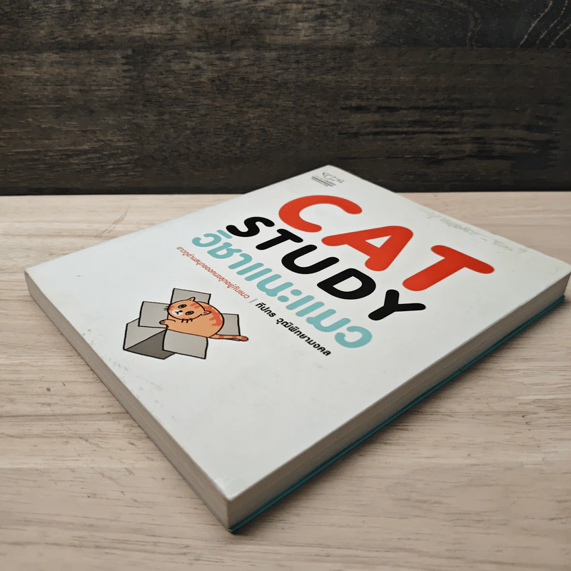 Cat Study วิชาแนะแมว - ทีปกร วุฒิพิทยามงคล รูปที่ 3