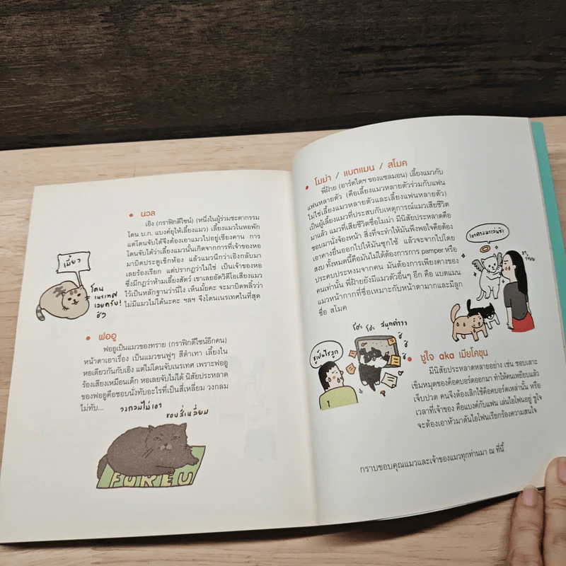 Cat Study วิชาแนะแมว - ทีปกร วุฒิพิทยามงคล รูปที่ 8
