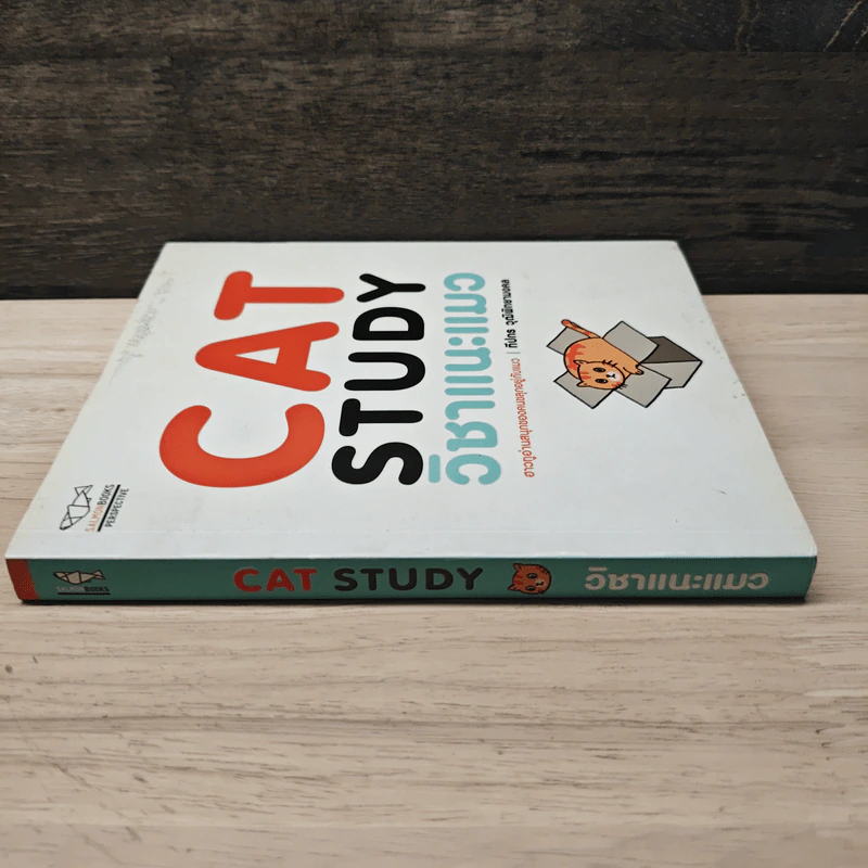 Cat Study วิชาแนะแมว - ทีปกร วุฒิพิทยามงคล รูปที่ 2